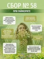 Сбор № 58 При гайморите