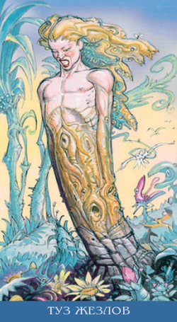 Таро Метаморфоз (RUS)