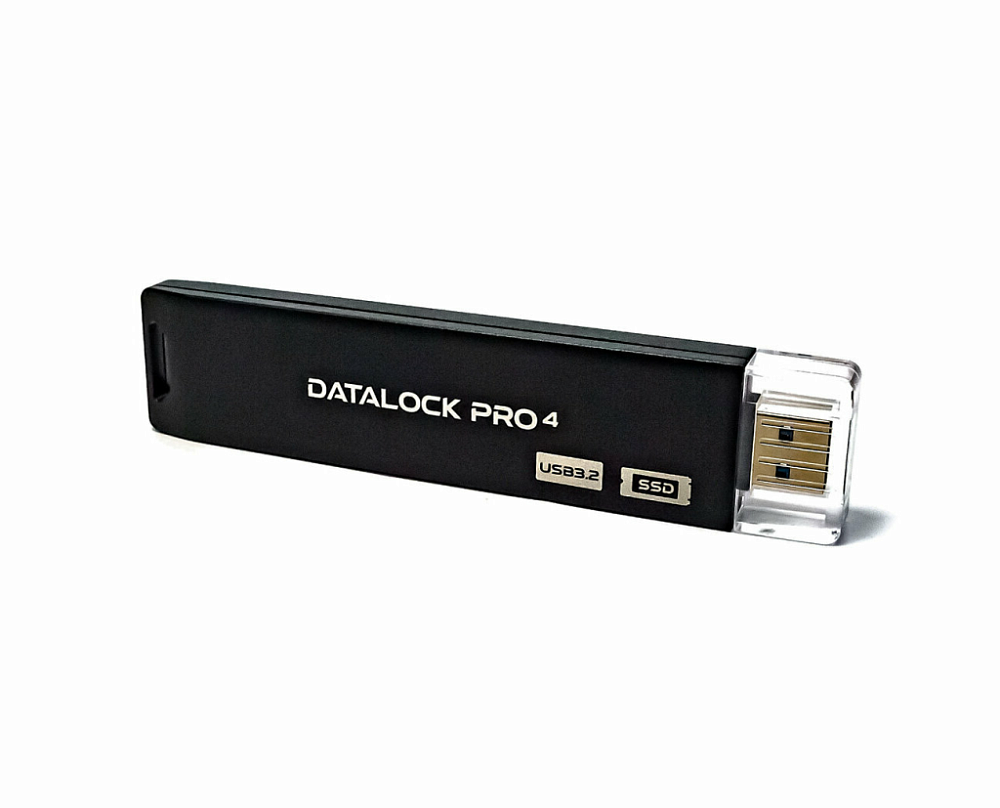 Флешка с шифрованием и паролем DataLock PRO4 256 Gb USB 3.2
