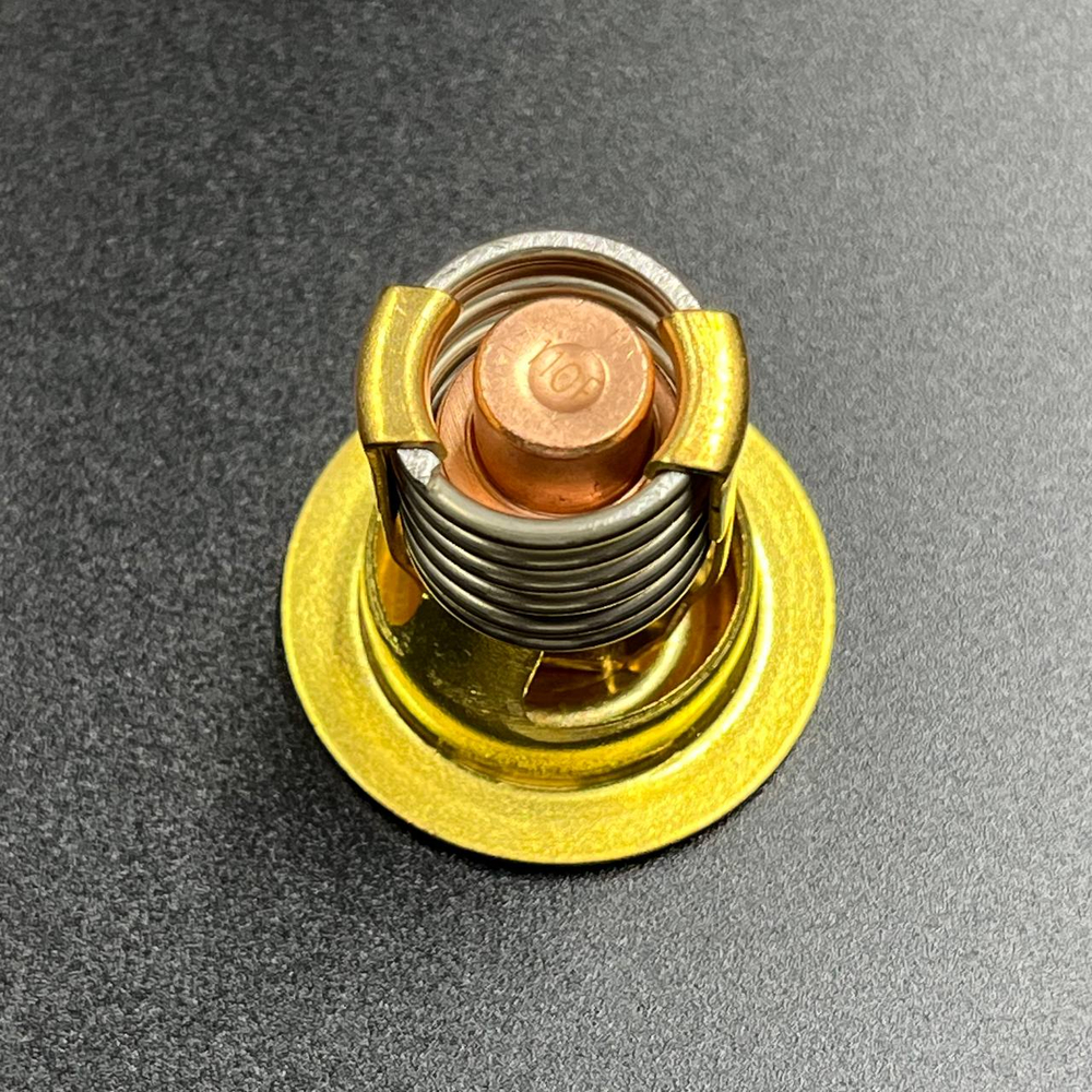 Термостат Mercury (110°F)  (JSP)