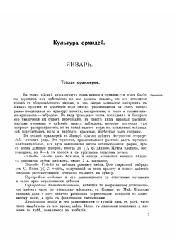 Культура орхидей: руководство для любителей | Трояновский Иван Иванович