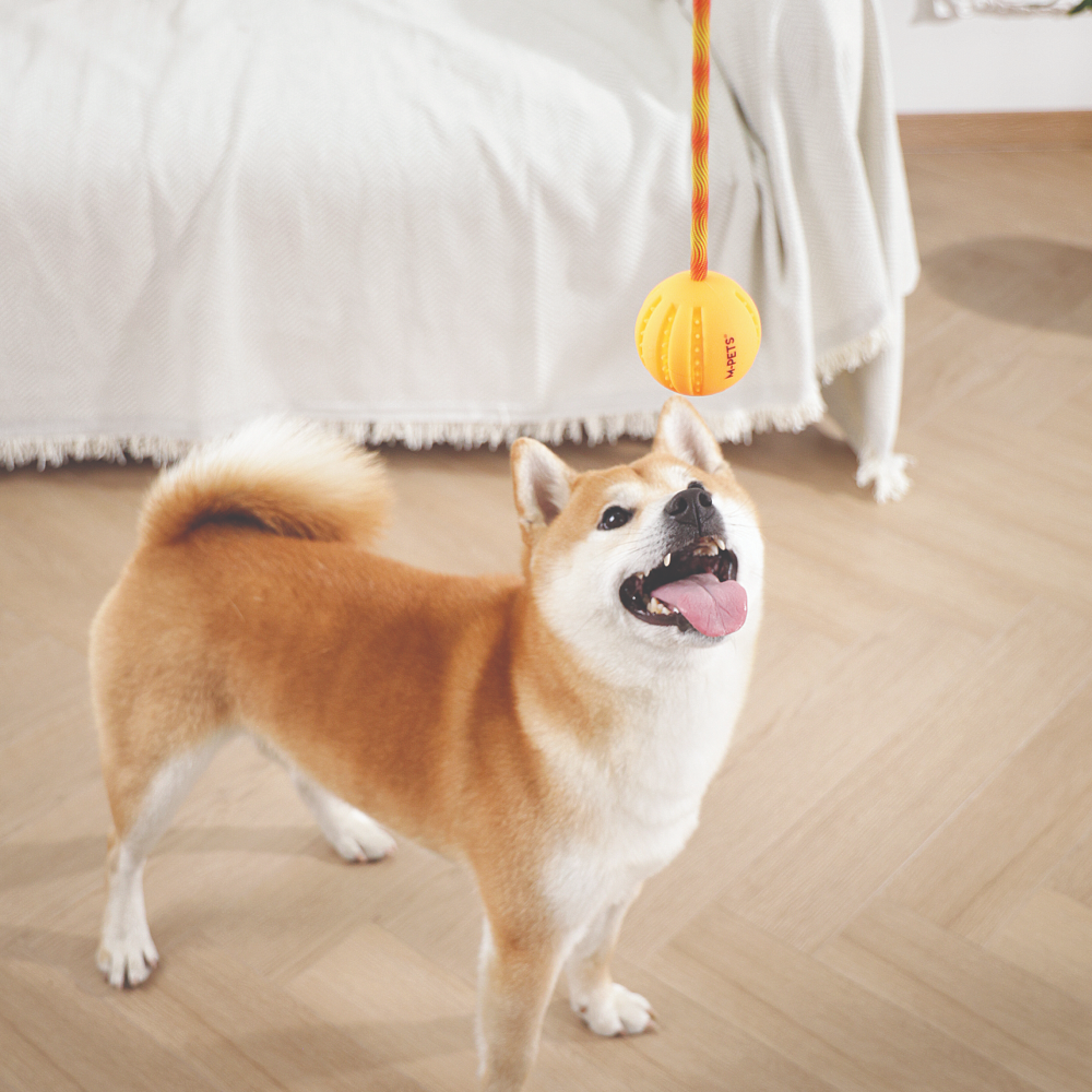 M-PETS Светящийся мяч на веревке FLASH LED, размер 6.4 x 50 см