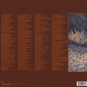 Stevie Wonder / Talking Book (LP)