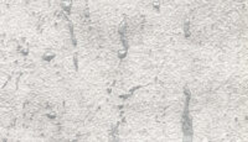 33255 Обои Marburg (Natural Opulence) (1*6) 10,05x0,70 винил на флизелине