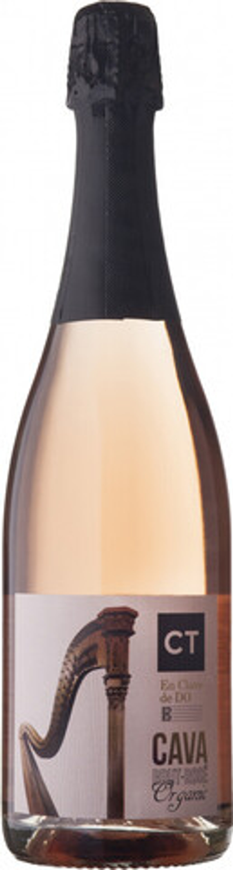 Вино игристое СТ Эн Клаве де ДО КАВА