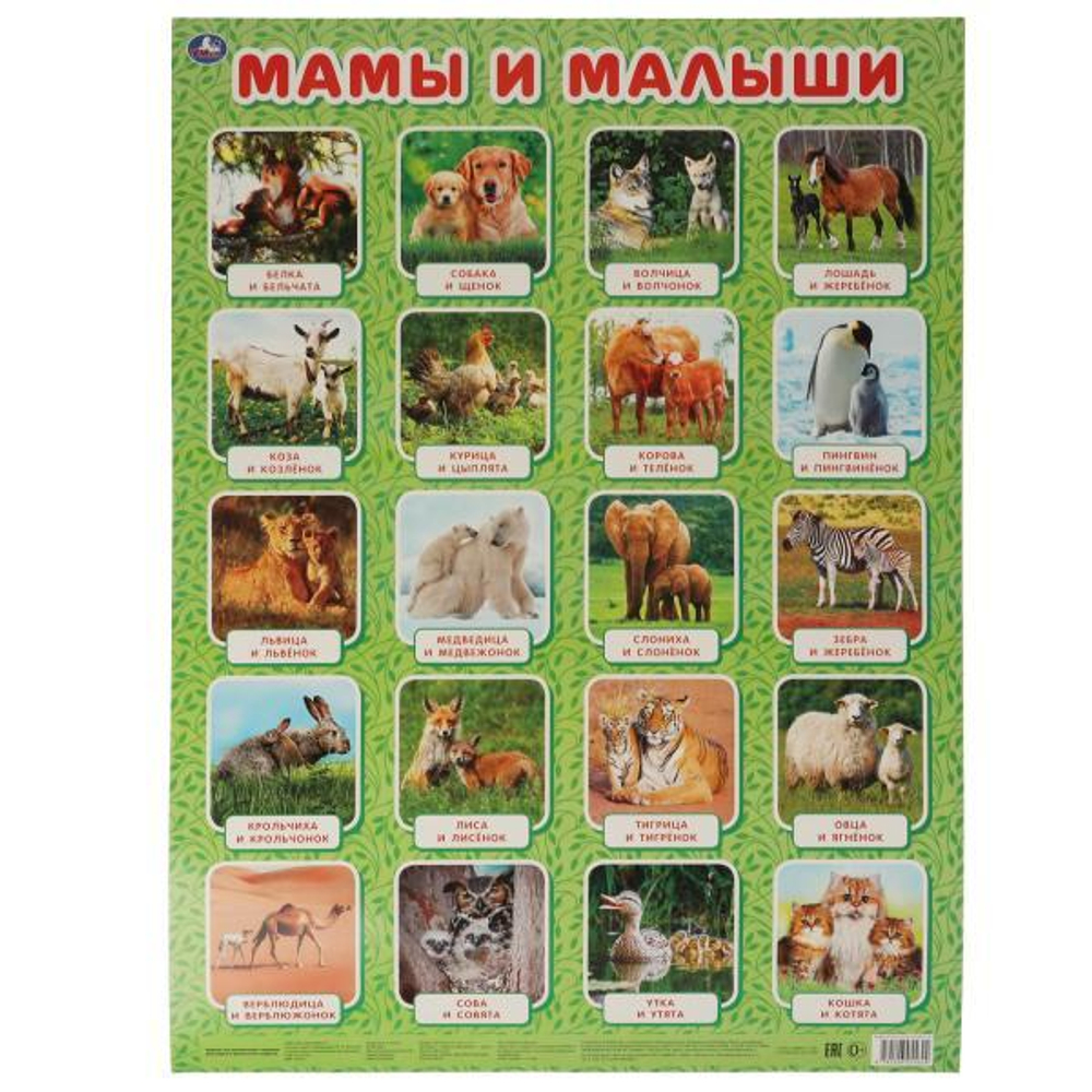 315691/Мамы и малыши. Плакат А2. Умка/1