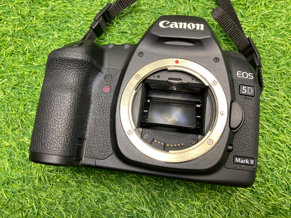 Canon EOS 5D Mark II (9.500 кадров)