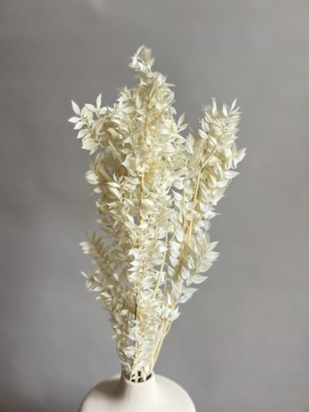 Рускус выбеленный