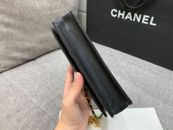 Chane1 WOC 19 cm