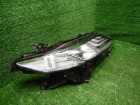 DSCN4682.JPG