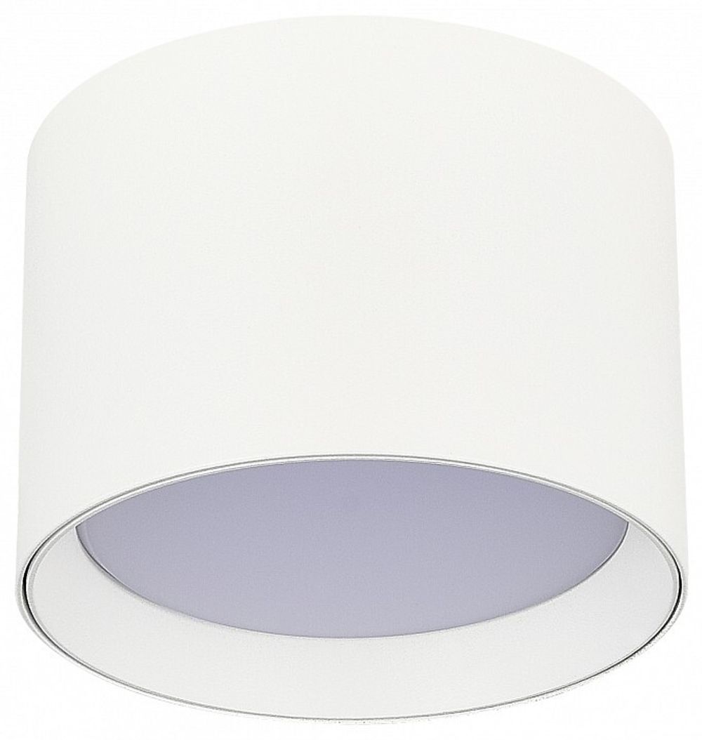 Накладной светильник ST-Luce ST163 ST163.502.01