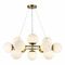 Подвесная люстра Evoluce FRATTA SLE1191-203-12