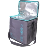 Термосумка 20 л, 31*20*31 см, WM188-4, серый