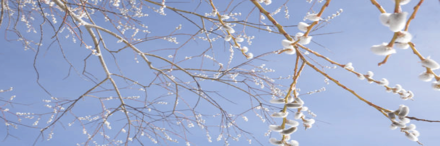 "ПОСТНОЕ ВРЕМЯ СВЕТЛО НАЧНЕМ..."