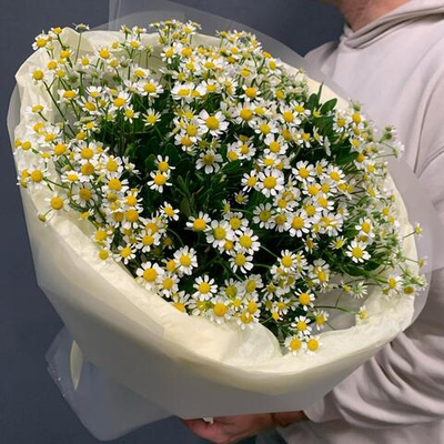 Букет "Матрёшка" (Матрикария/танацетум)