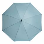 Ветроустойчивый зонт WIND