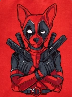 Одежда для собак мелких пород