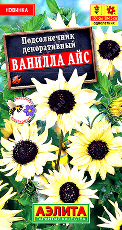 Подсолнечник декоративный Ванилла айс