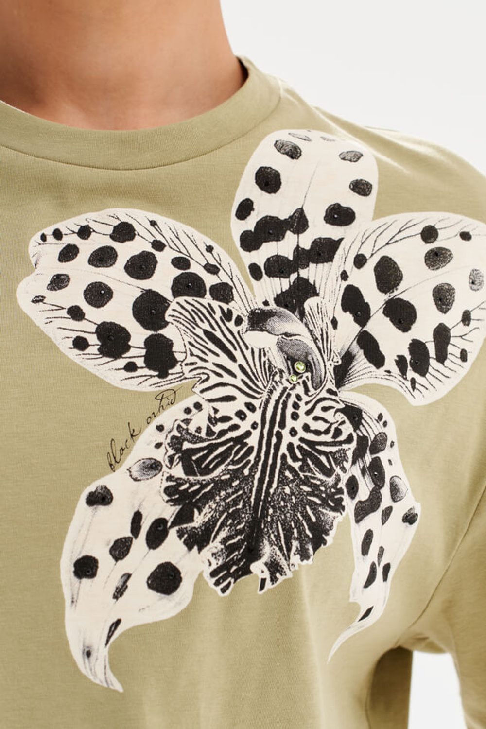 23605 Футболка женская (травяной)