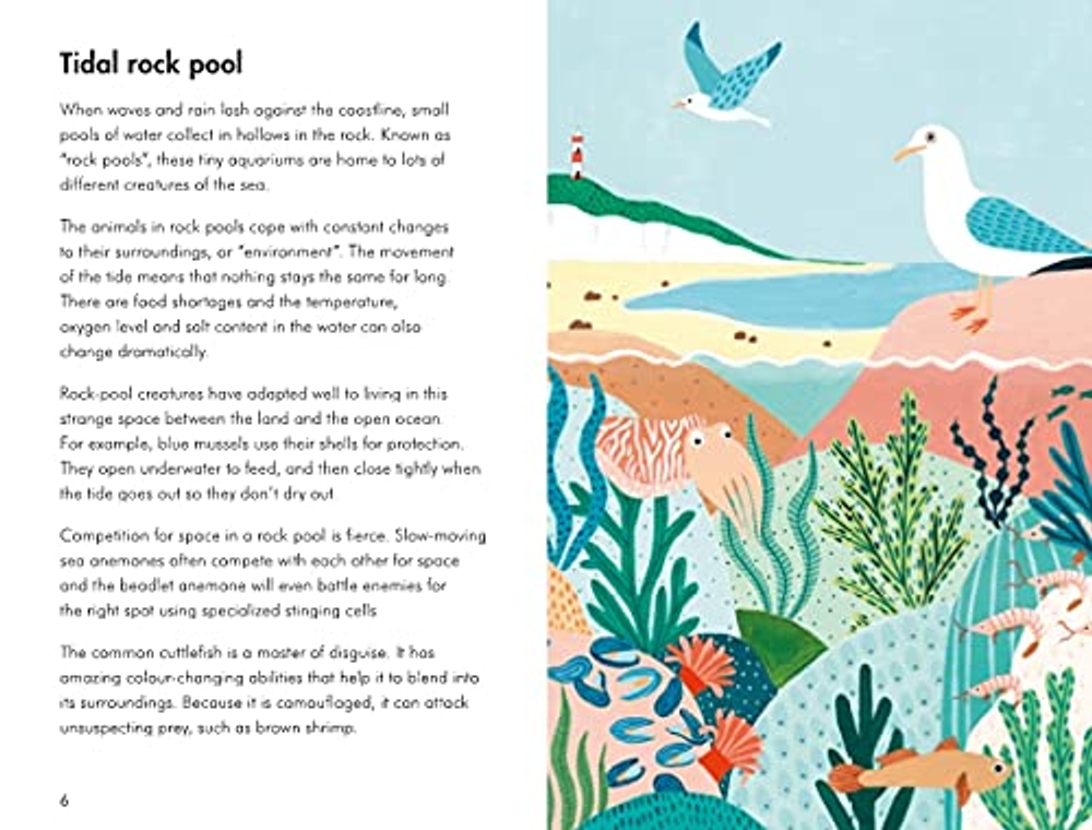 Ladybird Book: Sea Creatures 