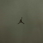 Баскетбольная мужская футболка Jordan Sport Dri-FIT Jumpman