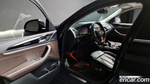 BMW X4 (G02) xDrive20i xLine (11.2020)
