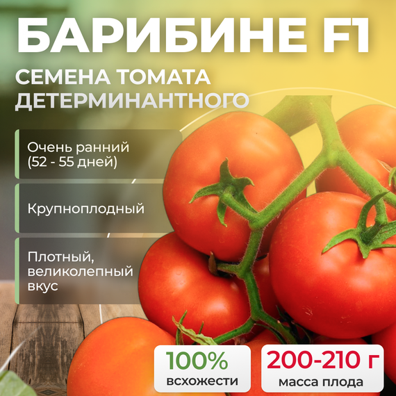 БАРИБИНЕ F1 семена томата (Syngenta | Alexagro) продукция
