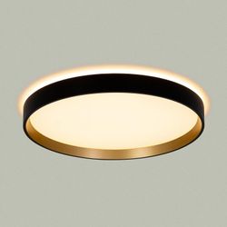 Накладной светильник Citilux ETALON CL750321R