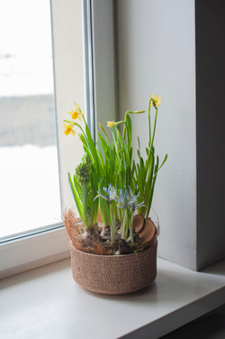 Весенняя композиция №13