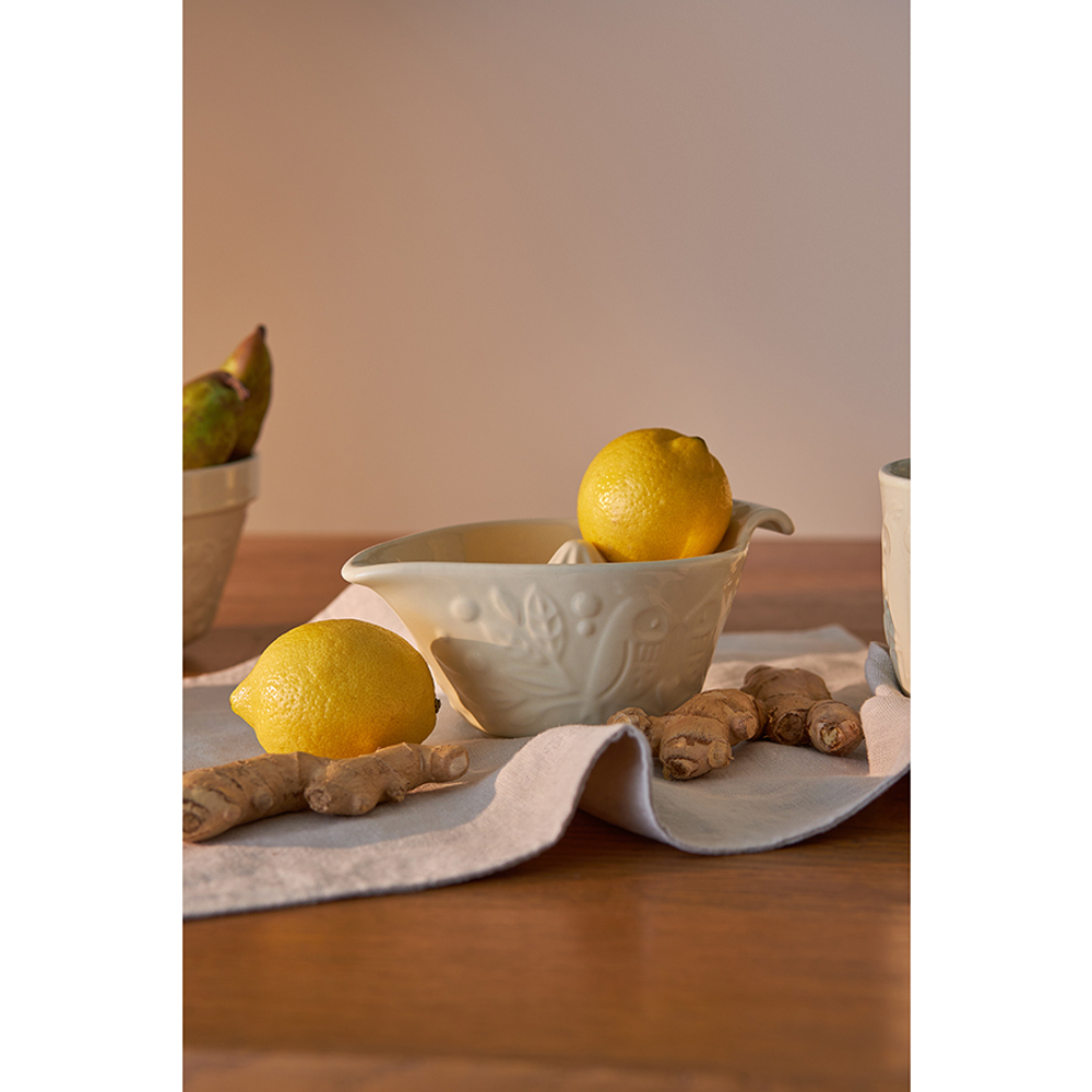 Соковыжималка birds of paradise, 410 мл, кремовая