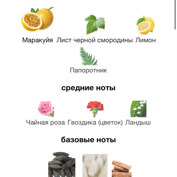 TIZIANA TERENZI Cassiopea