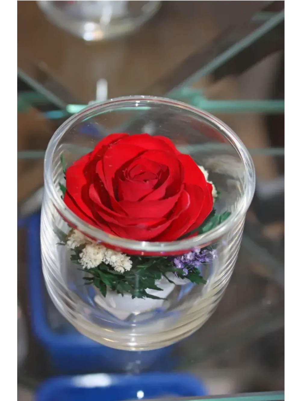 натуральные цветы в стекле, вакуум