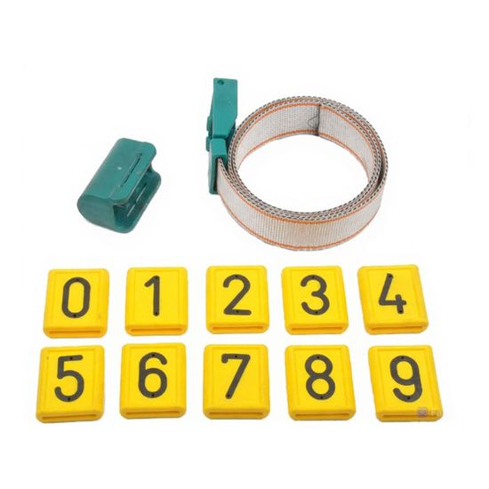 Ошейник для КРС с пластиковой пряжкой (зеленый) с номерками и чехлом респондера (Китай)