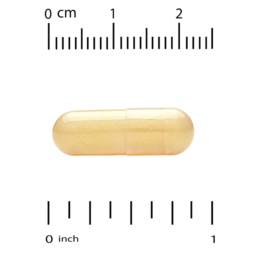 California Gold Nutrition, EuroHerbs, экстракт расторопши, качество Euromed, 175 мг, 60 растительных капсул