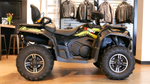 Квадроцикл Loncin Xwolf 700 MAX (Черный)