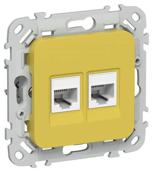 FLITE Розетка 2-местная RJ45/RJ11 категория 5Е/3 UTP РКТ5е/3-2-0-ФлЖК желтый карри IEK