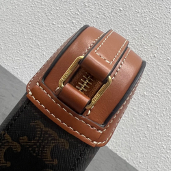 Celine Triomphe 20 cm