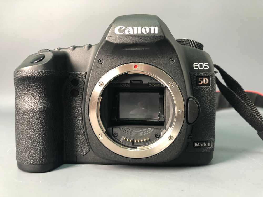 Canon EOS 5D Mark II, 13600 кадров пробега