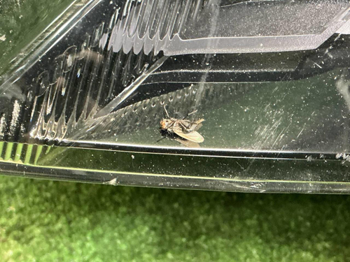 Фара левая Mitsubishi Outlander 3 (2018-н.в.) LED