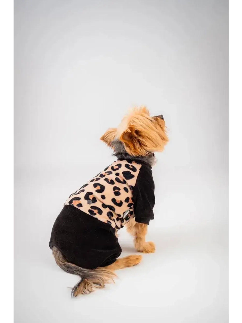 Комбинезон костюм для собак и кошек