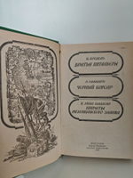 Братья витальеры. Черный корсар. Пираты Мексиканского залива