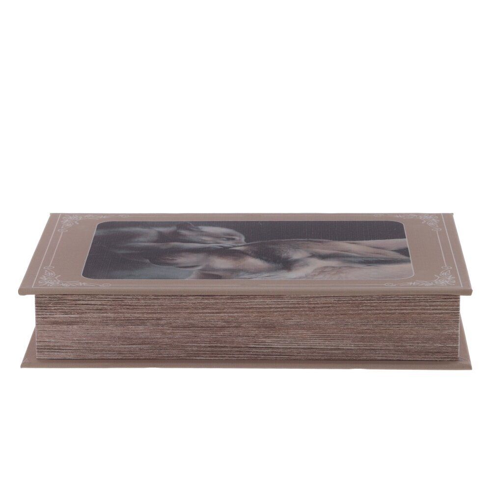 GAEM Шкатулка-книга, L16,5 W4,5 H26 см