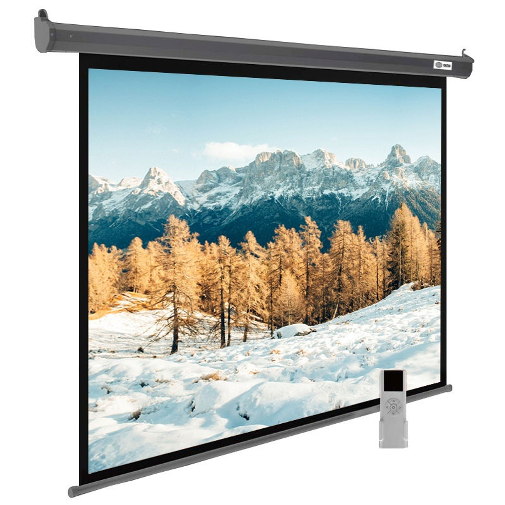 Экран Cactus 188x300см SIlverMotoExpert CS-PSSME-300X188-DG 16:10 настенно-потолочный (моторизованный) тёмно-серый