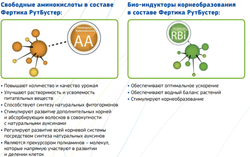 РУТ БУСТЕР 2мл. Фертика