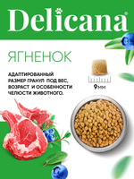 Сухой полнорационный корм для взрослых кошек с ягненком DELICANA 1,5кг
