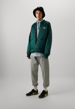 Carhartt WIP Демисезонная куртка - Зелёный