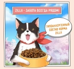 Сухой корм для собак ZILLII (Зилли) Dog Adult Small Breed 0,8кг индейка и утка сухой для собак мелких пород