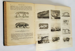 "История земли и жизни. Законы образования пустынь в настоящее и прошлое время". Иоганн Вальтер, профессор геологии и палеонтологии. 1911г. - антикварное издание