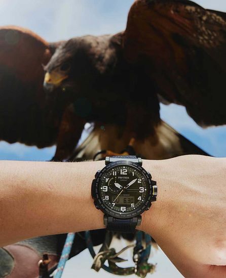 Наручные часы Casio Pro Trek PRG-601YB-3DR