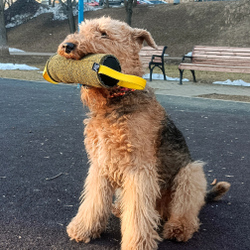 Цилиндрическая подушка "Турбо" с двумя ручками